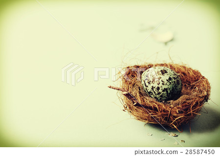 Easter egg in birds nest 28587450