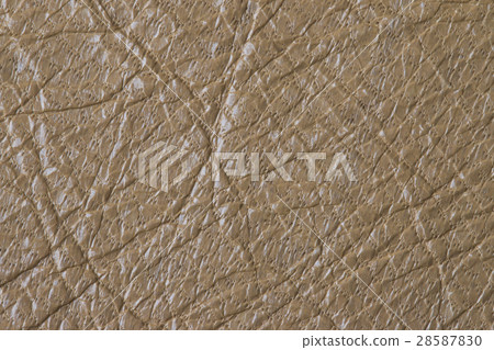 米色皺褶加工皮革 28587830