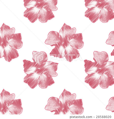 Delicate pink flowers on white background Delicate pink flowers on white background 28588020