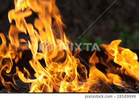 fire flames for background. Camping vacation food 28589099