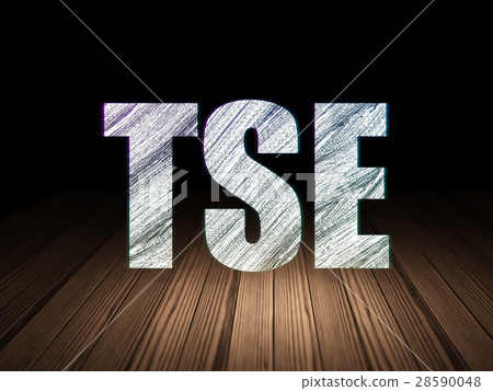 Stock market indexes concept: TSE in grunge dark Stock market indexes concept: TSE in grunge dark 28590048