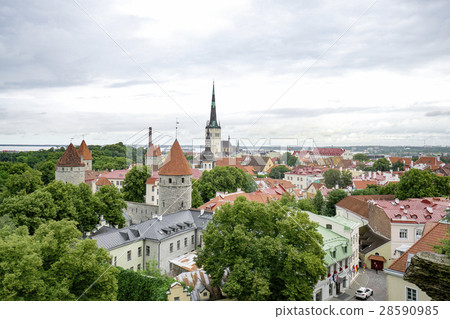 Tallinn Patkuli Vaateplats Old town seen from the pattrik observatory View taken in August 2016 28590985