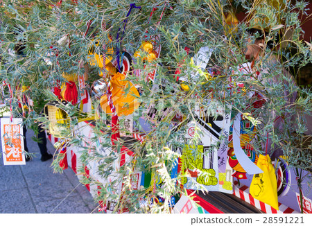 神社的新年裝飾 神社的新年裝飾 28591221