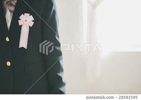 high school student, high-school student, badge 28591595