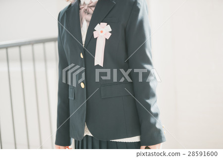 high school student, badge, emblem 28591600