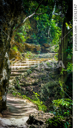 Stone staircase leading on Tembeling pool, Nusa 28592347