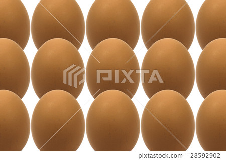 Food Food 28592902