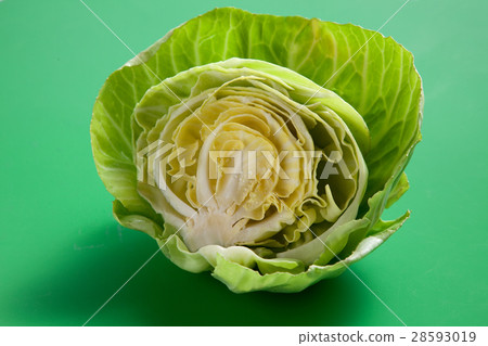白菜部分 28593019