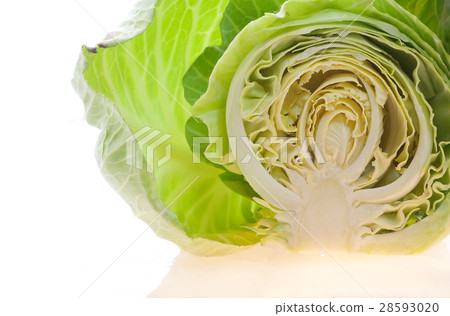 Cabbage section 28593020