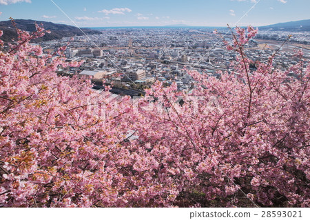 View from Sakurayama 28593021
