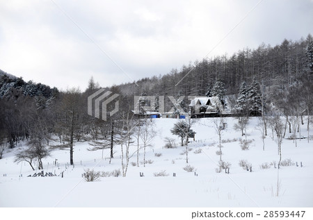 Clear sky in winter "Okasan Mountain" South Alps Clear sky in winter "Okasan Mountain" South Alps 28593447