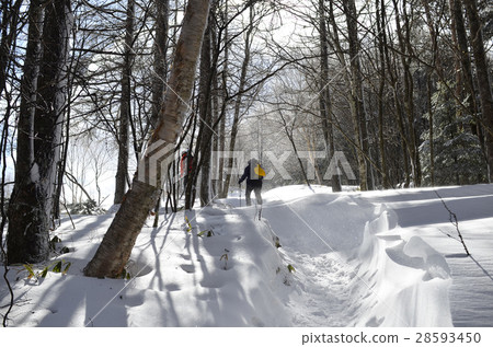 Clear sky in winter "Okasan Mountain" South Alps Clear sky in winter "Okasan Mountain" South Alps 28593450