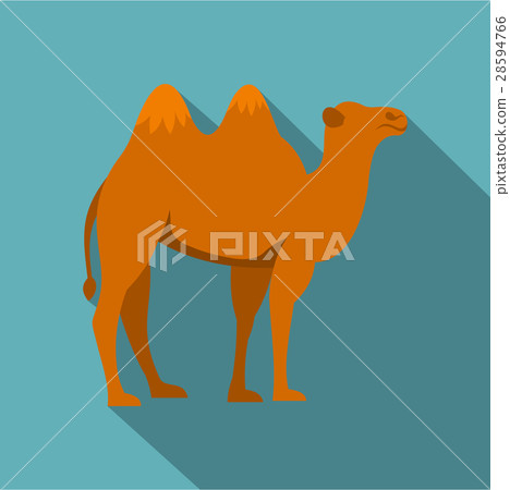 Camel icon, flat style 28594766