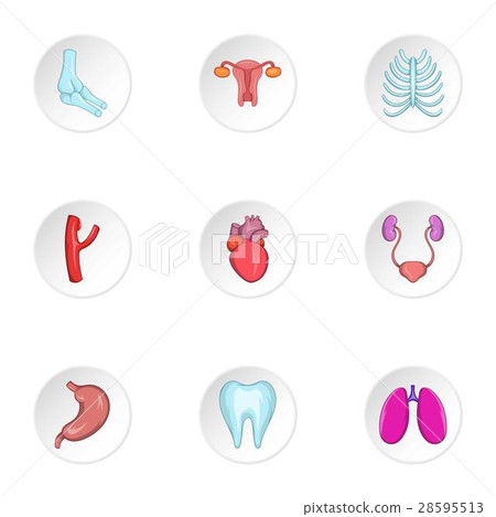 Human organs icons set, cartoon style 28595513