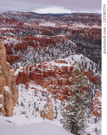 Bryce Canyon Bryce Canyon National Park snow snow 28596354