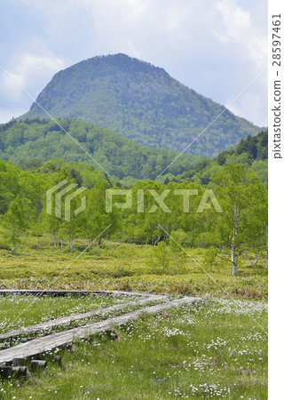 Shiga Takahara Tanohara Mire Shiga Takahara Tanohara Mire 28597461