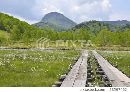 Shiga Takahara Tanohara Mire Shiga Takahara Tanohara Mire 28597462
