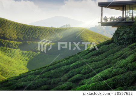 Viewpoint on the top of cameron highland 28597632