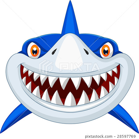 Shark head cartoon 28597769