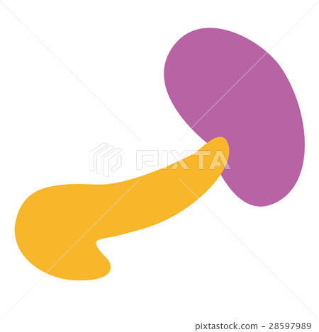Simple pancreas and spleen 28597989