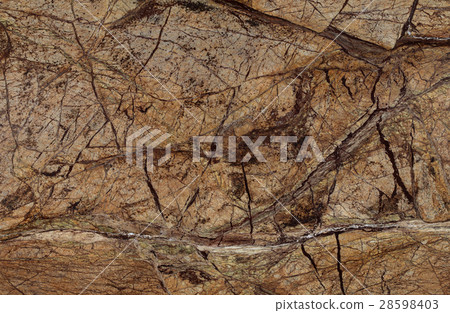 Natural Rain Forest Brown marble texture 28598403