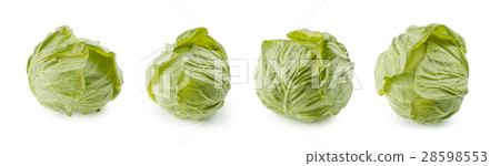Spring cabbage Spring cabbage 28598553