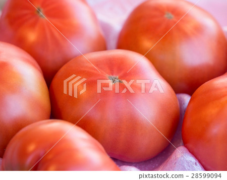Tomato   28599094