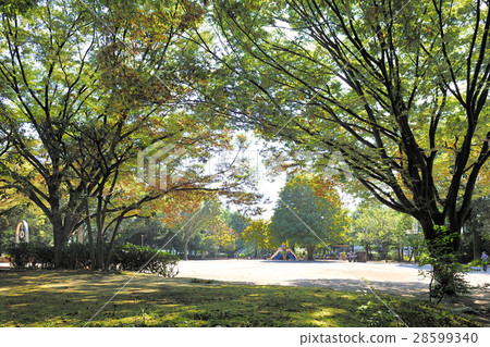 東方公園 東方公園 28599340