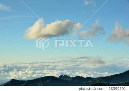 山上雲霧:新竹宇老 山上雲霧:新竹宇老 28599391