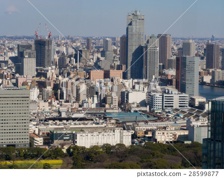 築地市場和聖路塔 築地市場和聖路塔 28599877