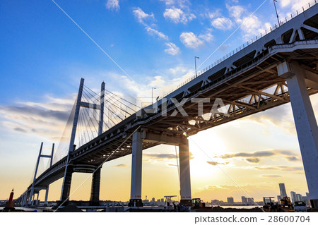仰望橫濱灣大橋的夜景 28600704