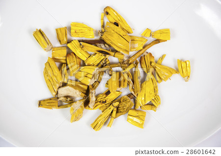 石斛 石斛 28601642