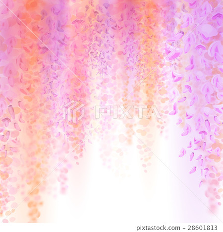 Spring background with blooming wisteria Spring background with blooming wisteria 28601813