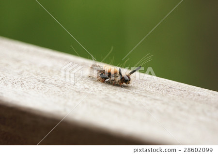 caterpillar 28602099