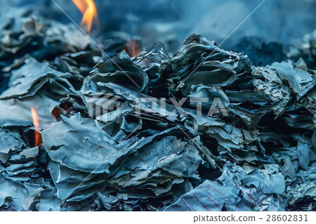 Ashes and ember Ashes and ember 28602831