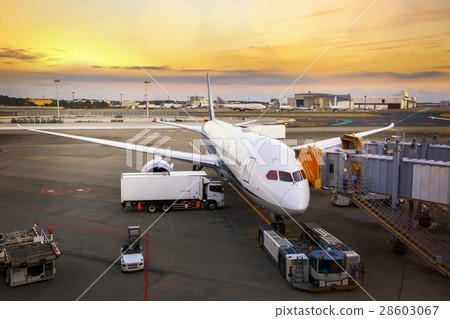 Loading cargo on the plane in airport 28603067