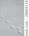 Footprints 28604118