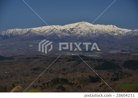 在早春拍攝北海道蘇塔町前面的佛山的景象,在前面發芽 在早春拍攝北海道蘇塔町前面的佛山的景象,在前面發芽 28604231