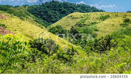Teletubbies Hill, Nusa Penida Island, Bali Teletubbies Hill, Nusa Penida Island, Bali 28604356