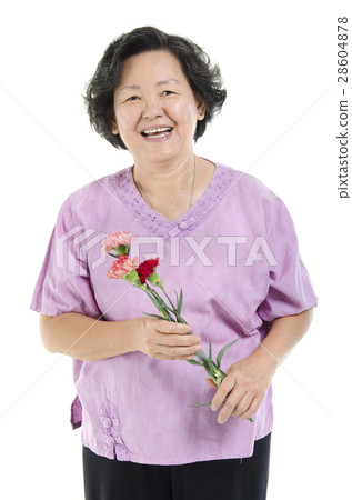 Mother and carnation flower Mother and carnation flower 28604878