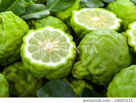 fresh bergamot 28605215