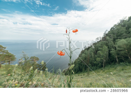 Mountain and sea. Mountain and sea. 28605966