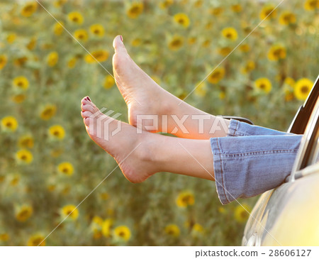 Summer vacation 28606127