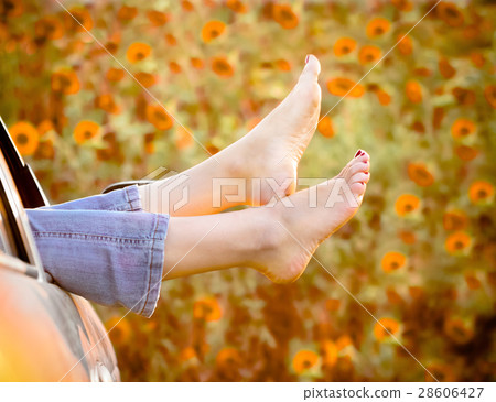 Summer vacation concep Summer vacation concep 28606427