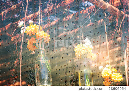 Flowers of decorated in garden. 28606964