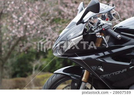 櫻花和摩托車 櫻花和摩托車 28607589