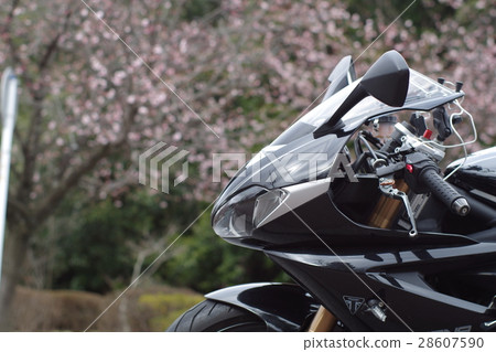 櫻花和摩托車 28607590