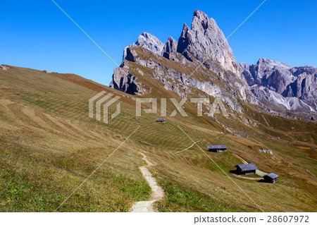 Seceda. Dolomites 28607972