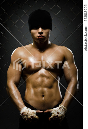 street fighter 28608903