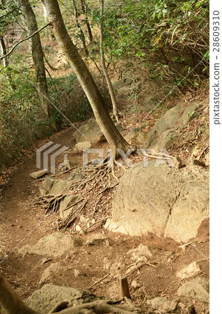 Mountain climbing from Tsukuba-san Azagigaoka 28609310